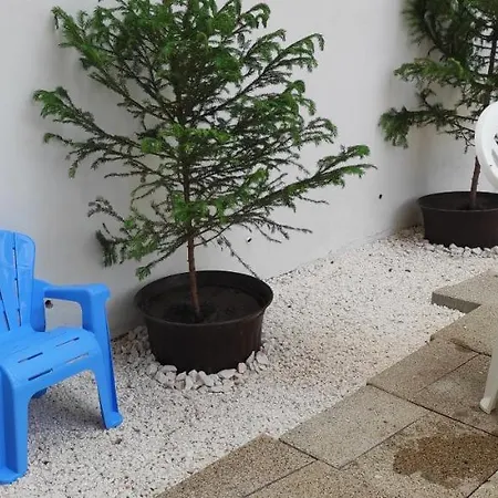 Studio Seasons * براشوف