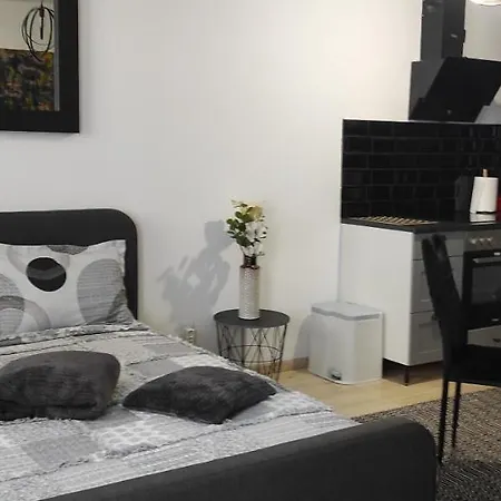 Studio Seasons Apartment *