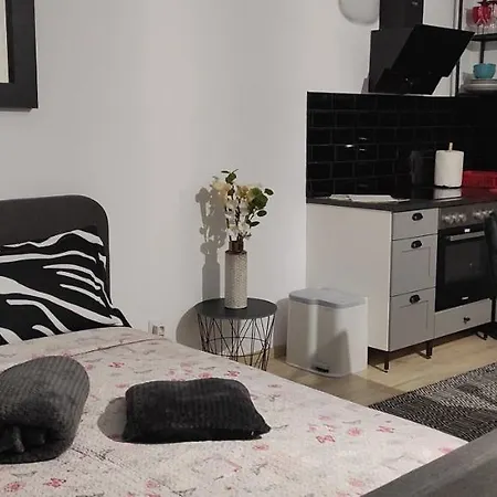 Studio Seasons براشوف