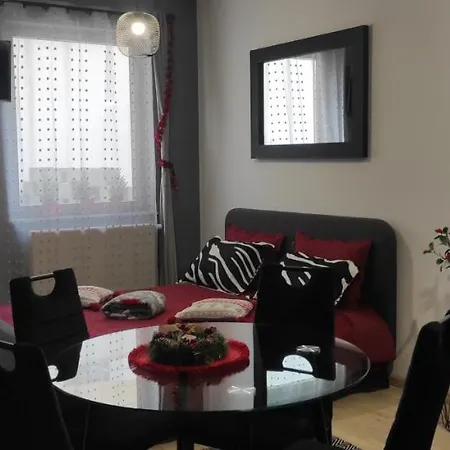 Studio Seasons Brasov