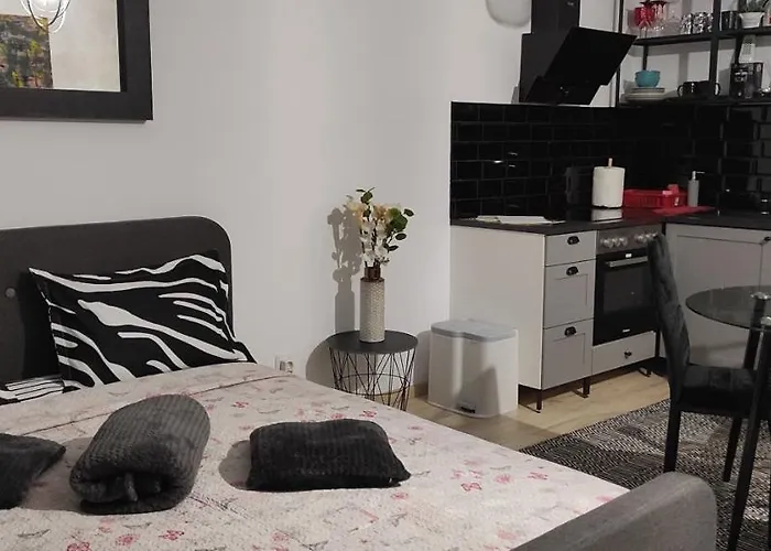 Studio Seasons Braşov